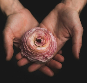 Trauma Release & Support