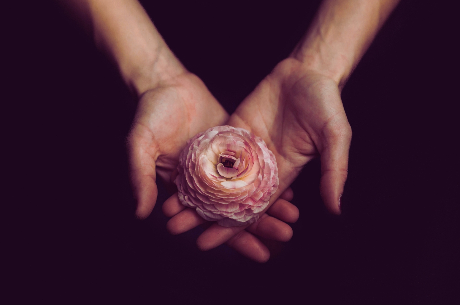 Trauma Release & Support