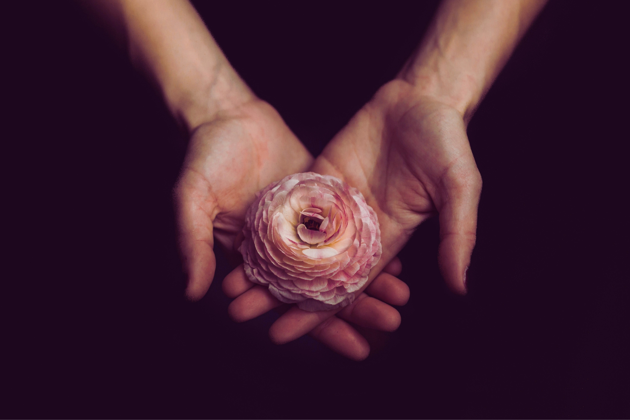 Trauma Release & Support