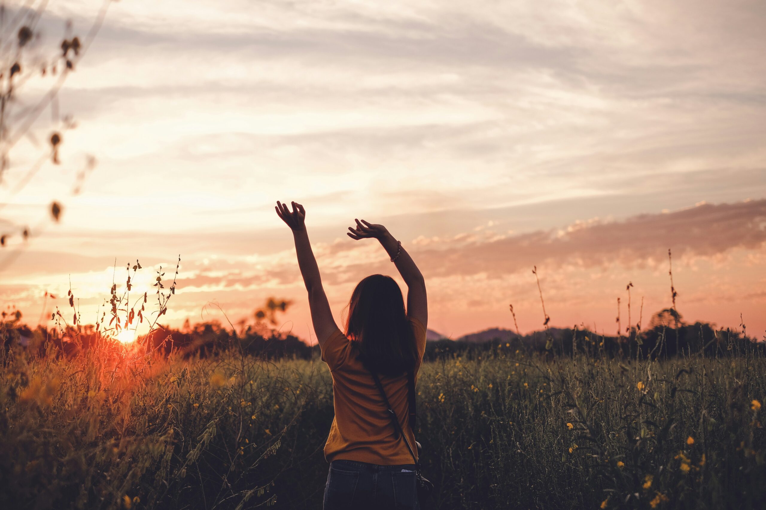 Trauma Release & Support